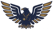Mavinkurve MD PLLC eagle logo